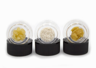 Three clear cannabis 1 gram containers sitting in black lids. Fake sugar display concentrate, fake white kief or display THCa powder, and fake badder or fake budder.